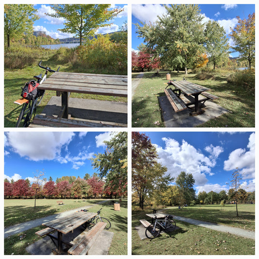 2024-10-05 Aire de repos (Vue Table 5)