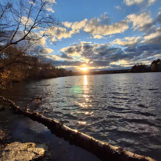 2025-11-08 16:00 (Vue 1)