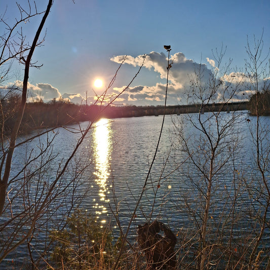 2025-11-22 15:21 (Vue 2.3)