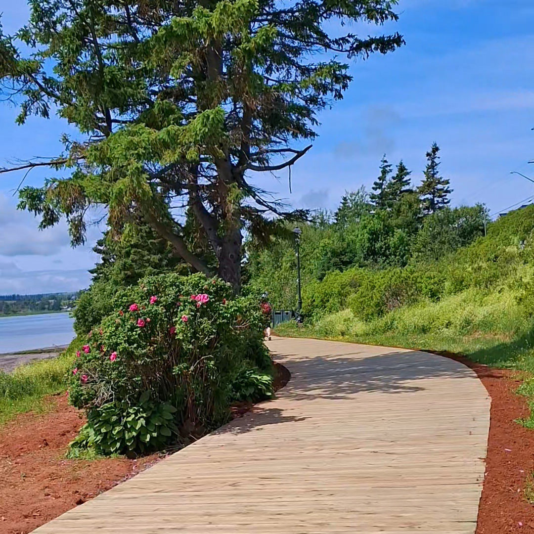 North Rustico Boardwalk