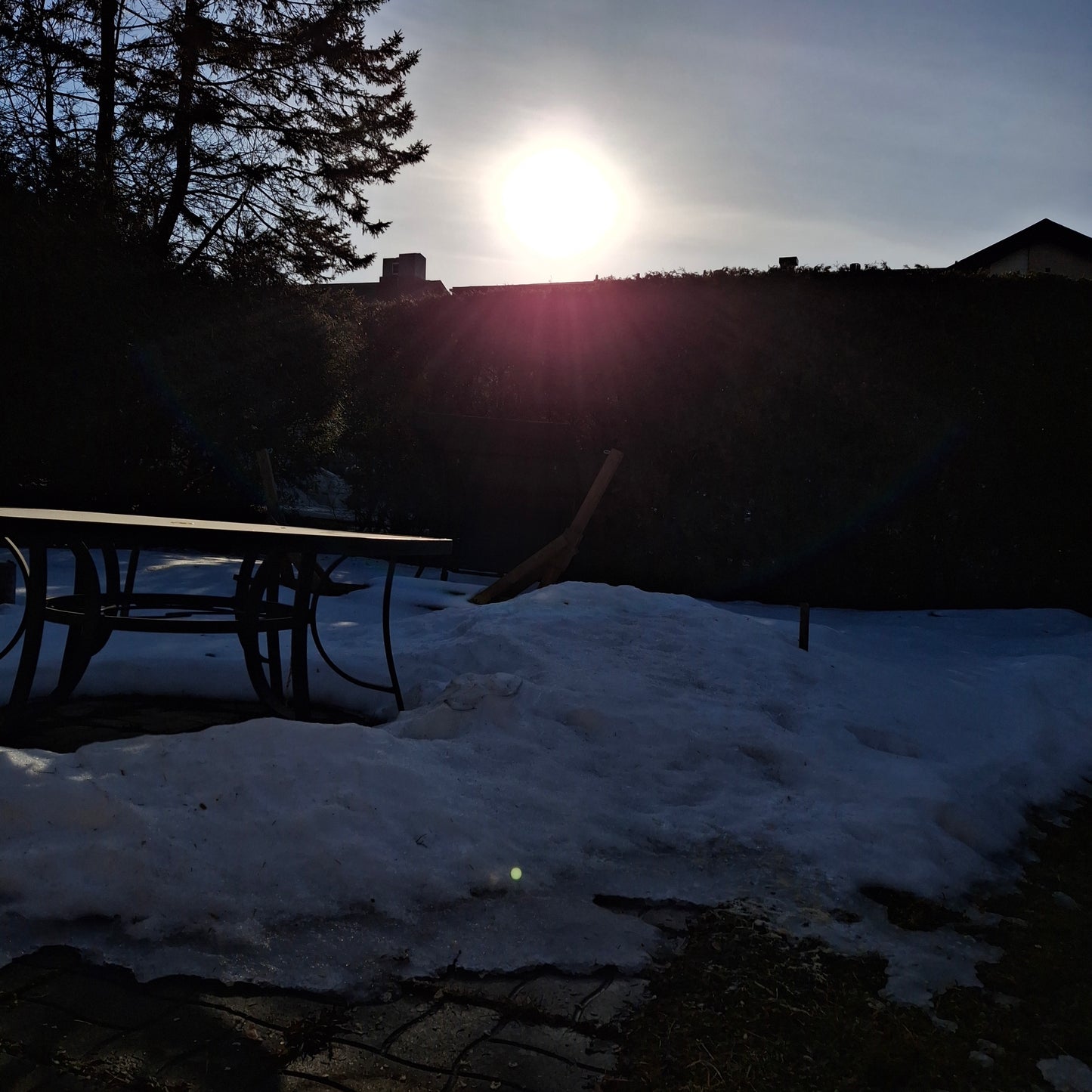 Apple juice (House view)
