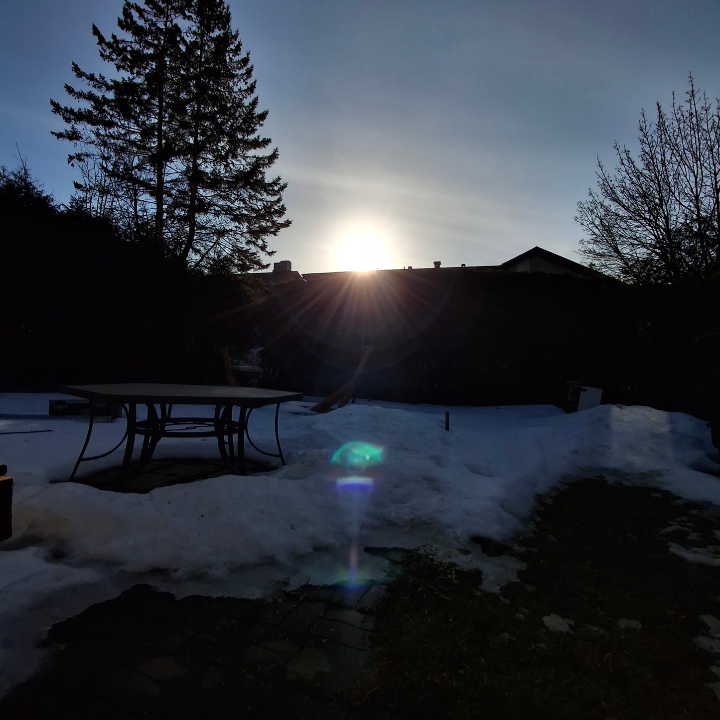 Apple juice (House view)